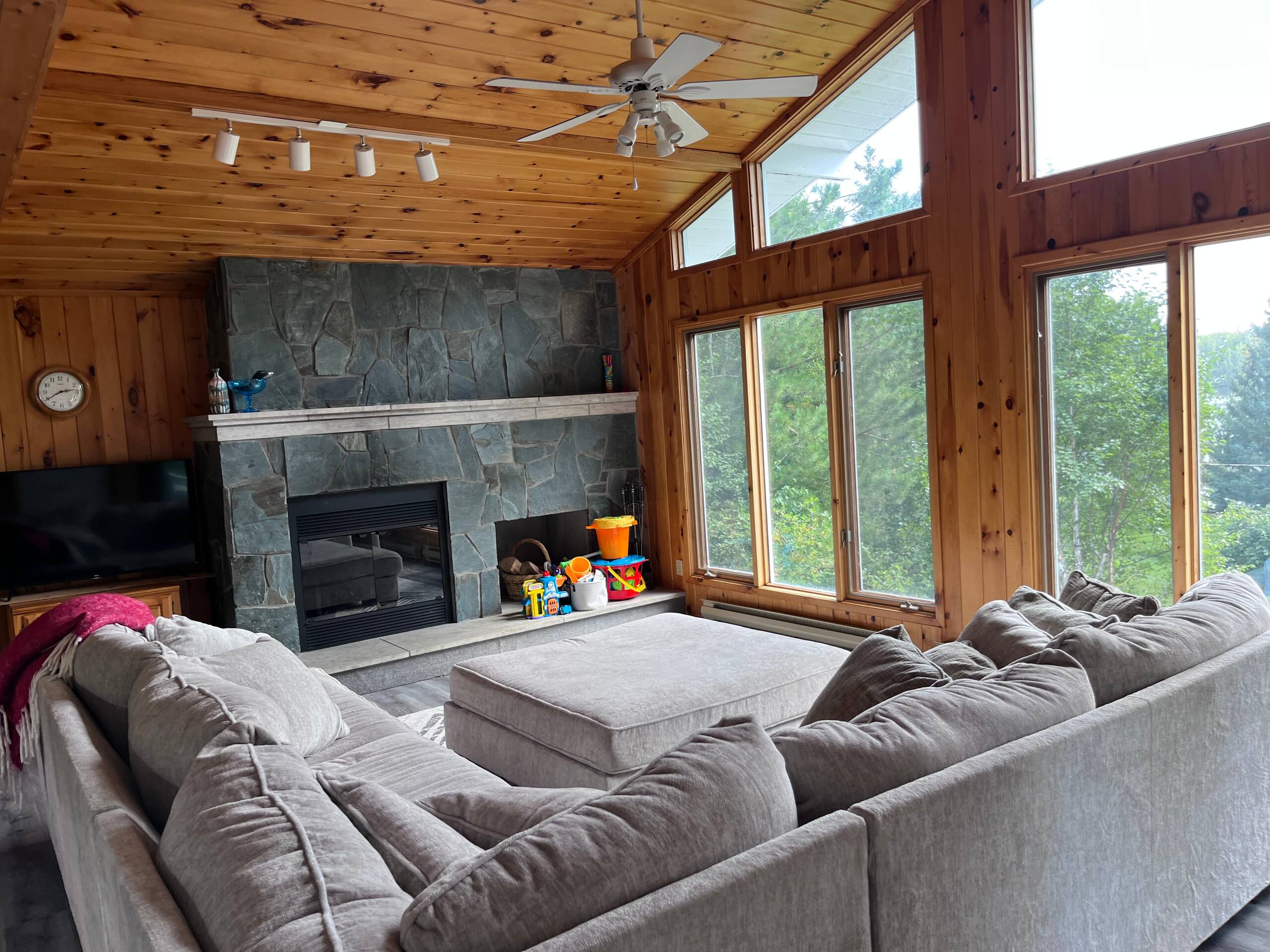 Living room with fireplace and sofa